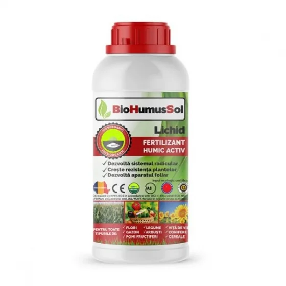 marketall202609162121152242296