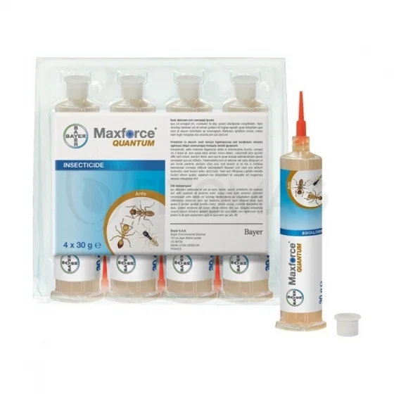marketall202609162258402255833
