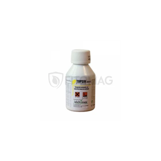 marketall202609162350212261999