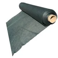 miculmester202609170034532267557
